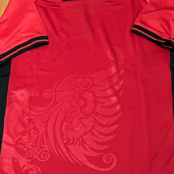 ALBANIA National Team Blue JERSEY Sz Men's M,L,XL or 2XL NWT by Macron - Picture 4 of 7